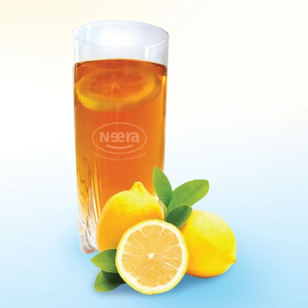 Madal Bal Neera, natürlicher Baumsirup, 500 ml