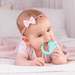 Dumel GiliGums, teether, Crab, from 3 months, 1 piece Dumel GiliGums, teether, Crab, from 3 months, 1 piece