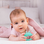 Dumel GiliGums, teether, Crab, from 3 months, 1 piece Dumel GiliGums, teether, Crab, from 3 months, 1 piece