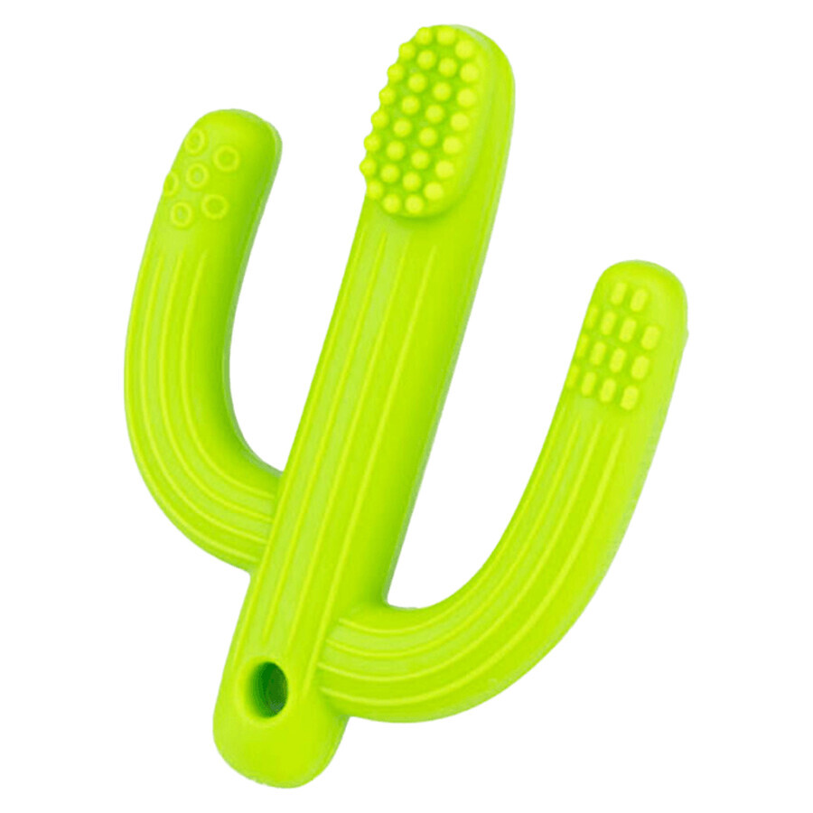 Dumel GiliGums, teether, Cactus, green, from 3 months, 1 piece