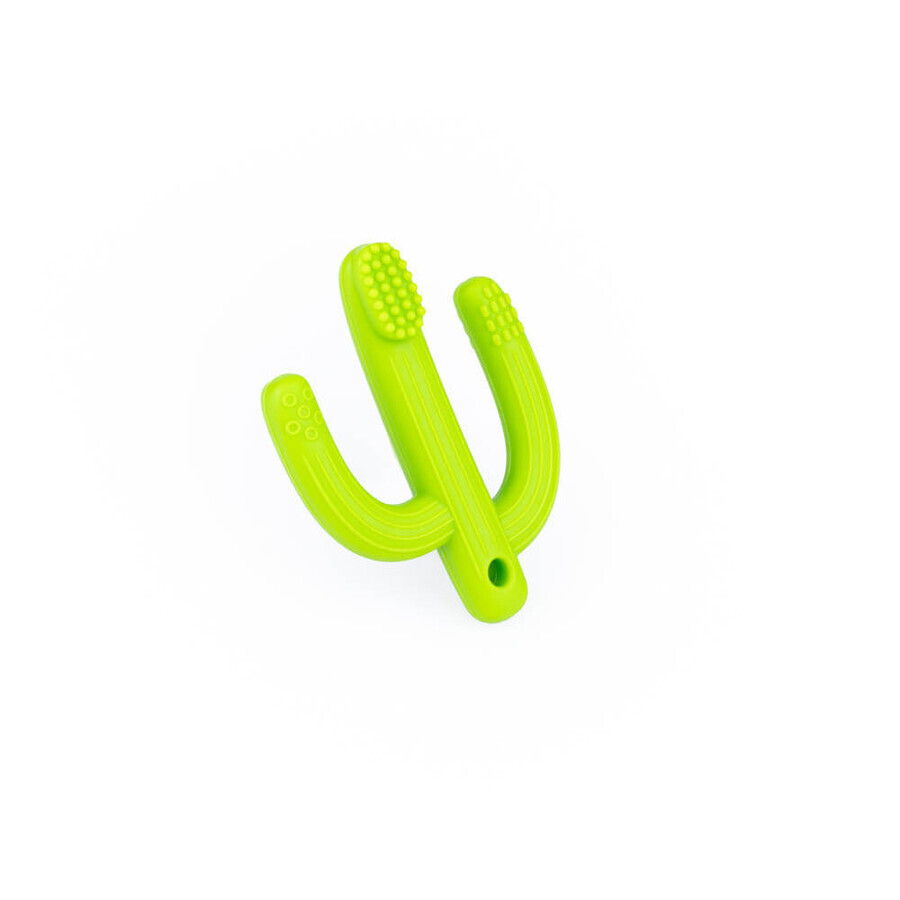 Dumel GiliGums, teether, Cactus, green, from 3 months, 1 piece