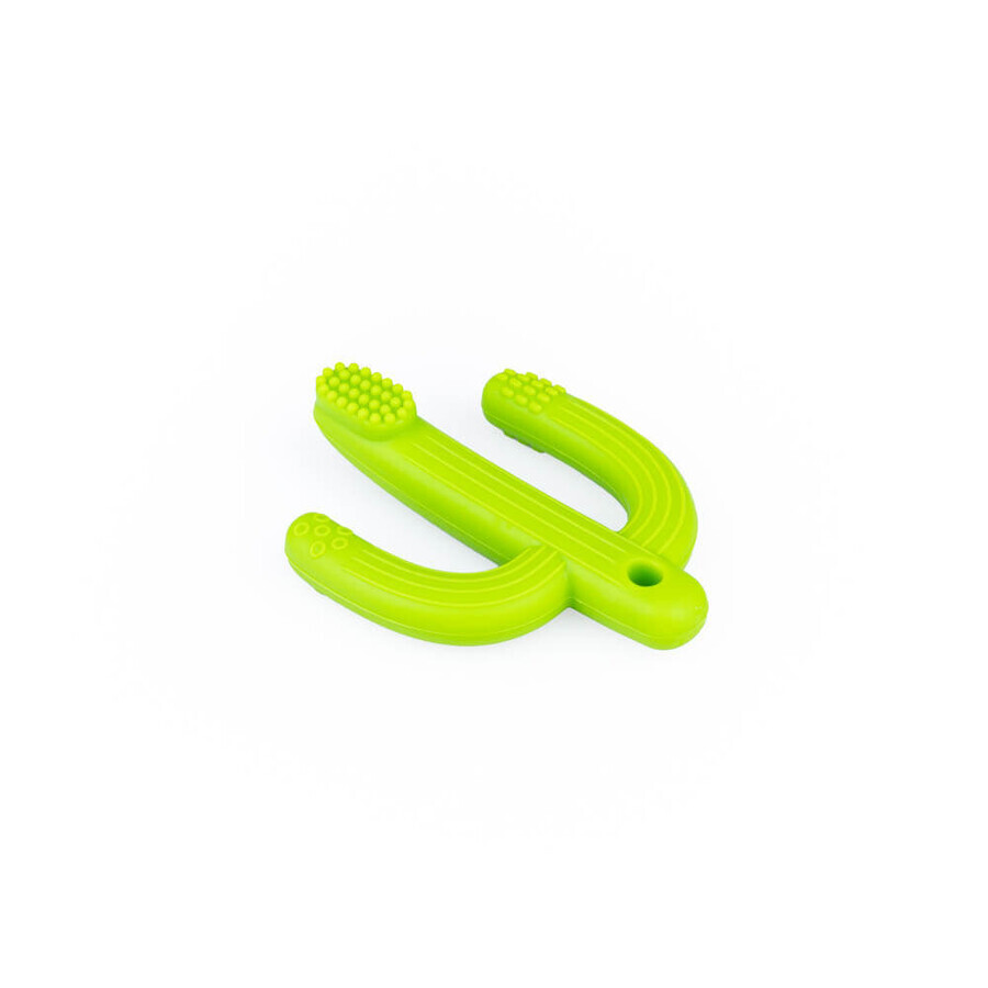 Dumel GiliGums, teether, Cactus, green, from 3 months, 1 piece