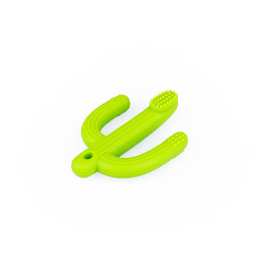 Dumel GiliGums, teether, Cactus, green, from 3 months, 1 piece