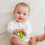 Dumel GiliGums, teether, Cactus, green, from 3 months, 1 piece