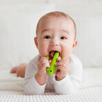 Dumel GiliGums, teether, Cactus, green, from 3 months, 1 piece