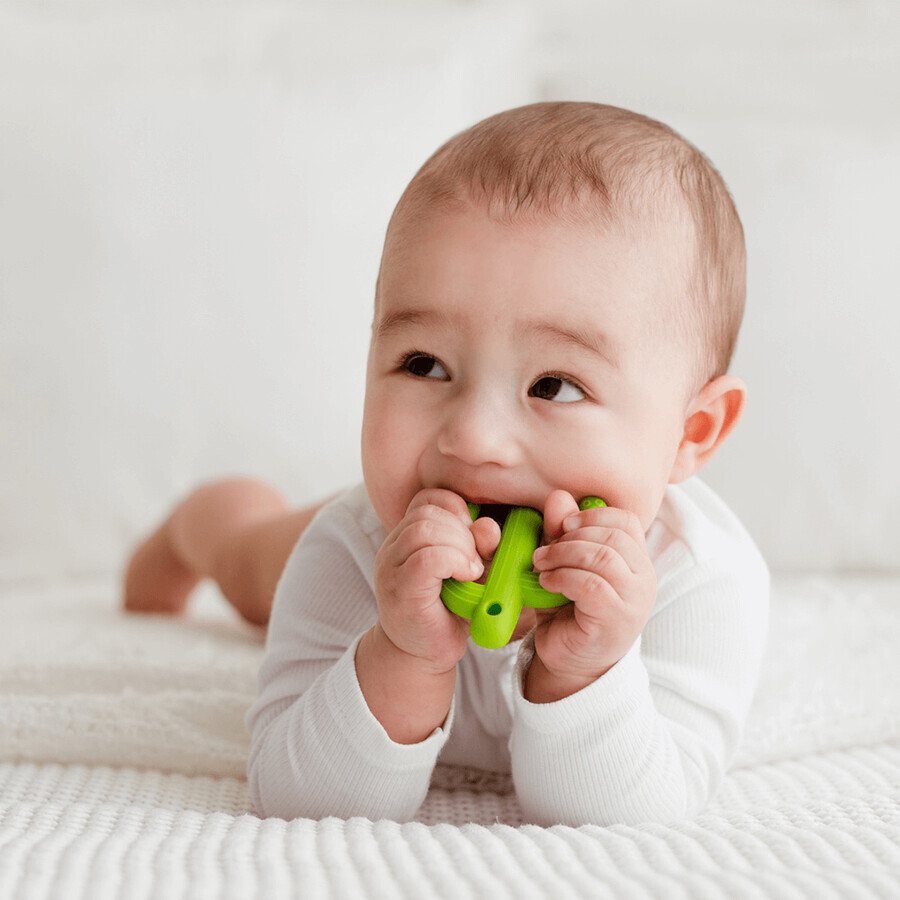 Dumel GiliGums, teether, Cactus, green, from 3 months, 1 piece