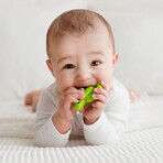 Dumel GiliGums, teether, Cactus, green, from 3 months, 1 piece