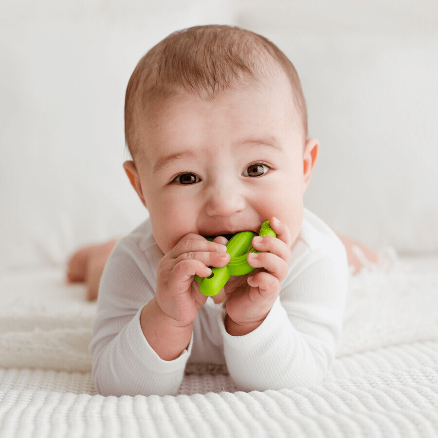 Dumel GiliGums, teether, Cactus, green, from 3 months, 1 piece
