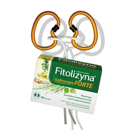 Phytolysin Nefrocaps Forte, 60 cápsulas