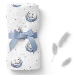 Bocioland, bamboo diaper, 110 x 110 cm, sleeping foxes, 1 piece Bocioland, bamboo diaper, 110 x 110 cm, sleeping foxes, 1 piece