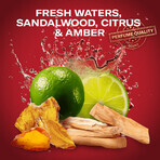 Old Spice, deodorante in stick, Whitewater, 50 ml
