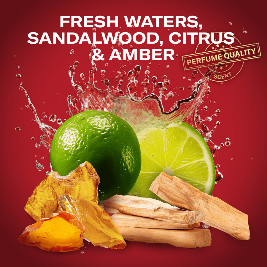 Old Spice, deodorante in stick, Whitewater, 50 ml