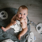 Baby Ono, jucărie de pluș, Blink & Shine, pisoi