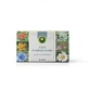 Thé anthelminthique, 20 sachets, Hypericum