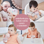 B.Box, Trinklernbecher, 4-in-1-Set, rosa, ab 4 Monaten, 240 ml B.Box, Trinklernbecher, 4-in-1-Set, rosa, ab 4 Monaten, 240 ml