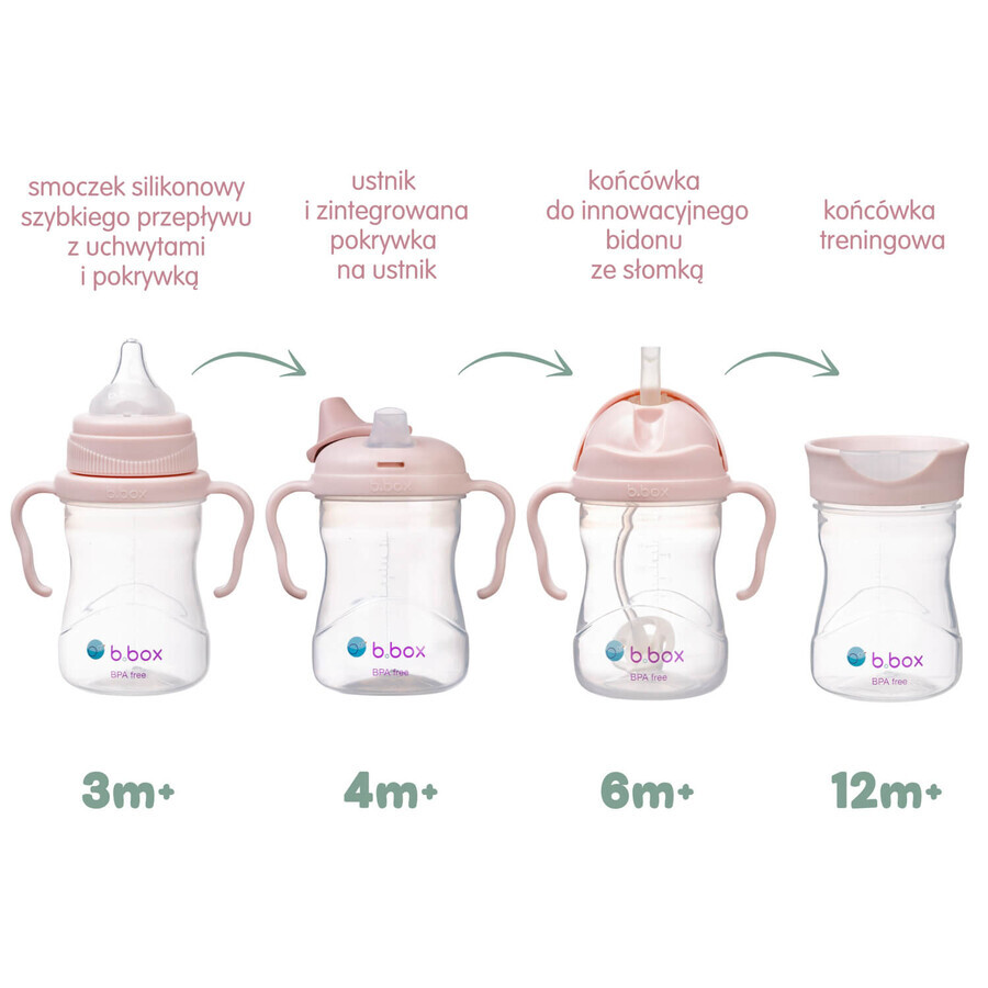 B.Box, Trinklernbecher, 4-in-1-Set, rosa, ab 4 Monaten, 240 ml