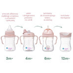 B.Box, Trinklernbecher, 4-in-1-Set, rosa, ab 4 Monaten, 240 ml B.Box, Trinklernbecher, 4-in-1-Set, rosa, ab 4 Monaten, 240 ml