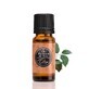 Geparfumeerde muskusolie, 10 ml, Oleya