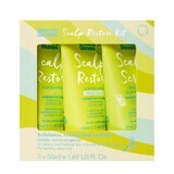 Set anticaspa Scalp Restore, 3x50 ml, Umberto Giannini