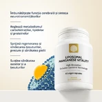 Liposomaal mangaan vitaliteit, 45 capsules, Novo Biomedics