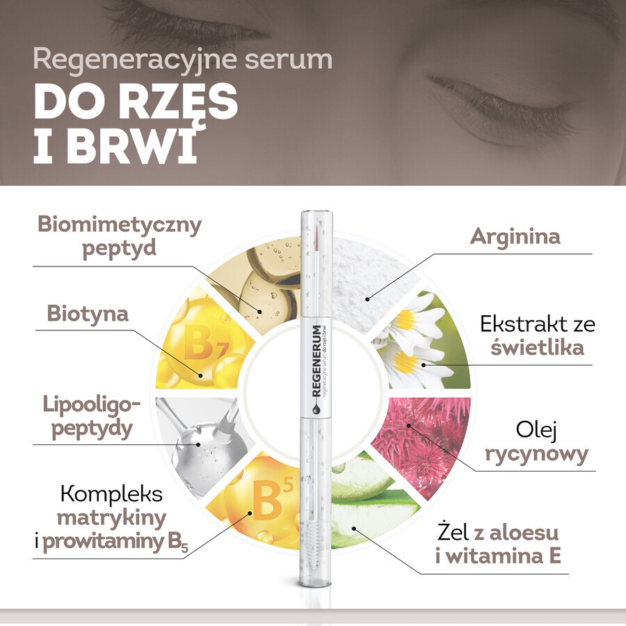 Regenerum, sérum régénérant pour les cils et les sourcils, 11 ml + Invitation - place de cinéma gratuite