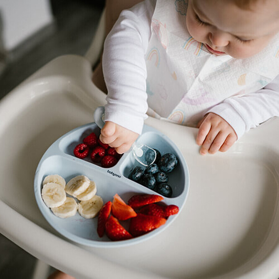 BabyOno, silicone saucer with suction cup, blue, from 6 months, 1 piece