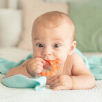 Dumel GiliGums, Chews, Fruit, colorful, from 3 months, 2 pieces. Dumel GiliGums, Chews, Fruit, colorful, from 3 months, 2 pieces.