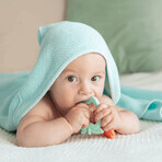Dumel GiliGums, Chews, Fruit, colorful, from 3 months, 2 pieces. Dumel GiliGums, Chews, Fruit, colorful, from 3 months, 2 pieces.