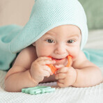 Dumel GiliGums, Chews, Fruit, colorful, from 3 months, 2 pieces. Dumel GiliGums, Chews, Fruit, colorful, from 3 months, 2 pieces.