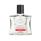 Total Attraction After Shave, 100 ml, Brut