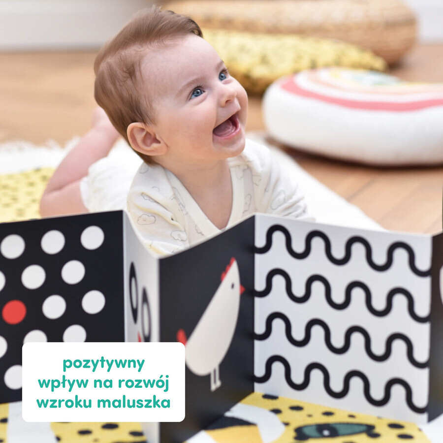 CzuCzu Toddler Starter What I See, 2 Kontrastbücher für Kinder, 0-6 Monate