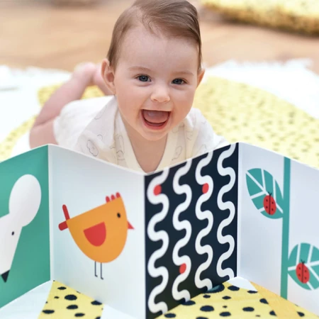 CzuCzu Toddler Starter What I See, 2 contrast books for children, 0-6 months