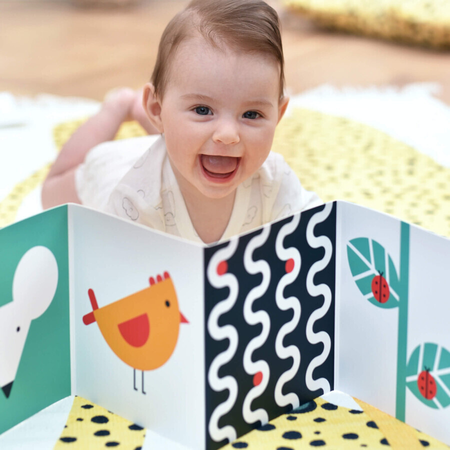 CzuCzu Toddler Starter What I See, 2 Kontrastbücher für Kinder, 0-6 Monate