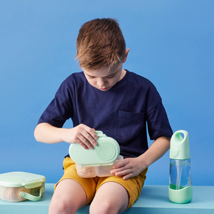 B.Box, snack box, snack container, Spearmint, 1 piece