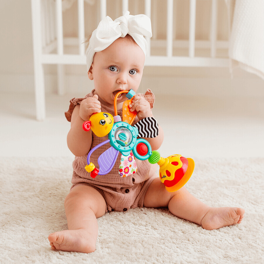 Dumel Tuli Fun, toy, Butterfly, suction cup, from 6 months, 1 piece