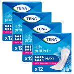 Tena Lady set, specialty sanitary napkins, Maxi, 4 x 12 pieces