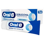 Oral-B tandvlees & glazuur reparatie tandpasta set, Fresh White, 2 x 75 ml