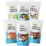 BioBas Bio Porridge Set, Reis, Dinkel, Hirse, Grieß, Haferflocken, mit Malbuch und Aufklebern, ohne Zuckerzusatz, ab 6 Monaten, 6 x 200 g KURZZEZEIT