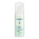 Caudalie Vinoclean, Reinigungsschaum, 50 ml