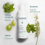 Caudalie Vinoclean, Reinigungsschaum, 50 ml