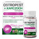 Thistle + Complex de anghinare, 60 capsule