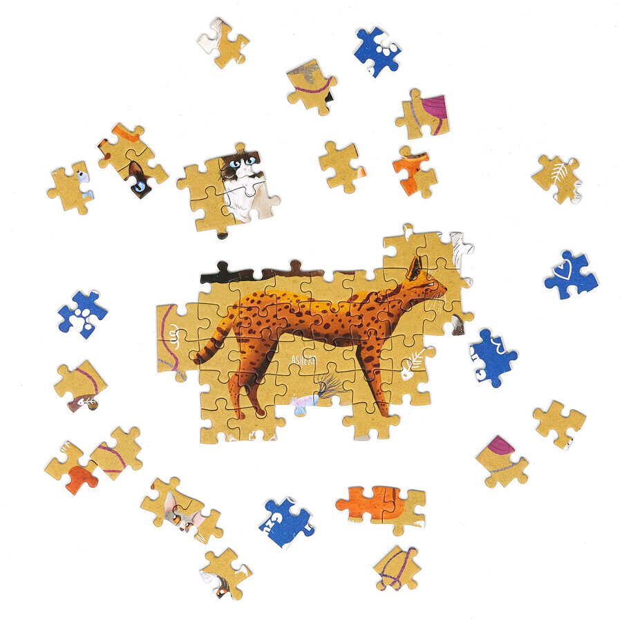 CzuCzu Puzzlove Chats, puzzle familial, 1000 pièces