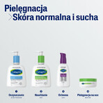Cetaphil MD Dermoprotector, hydraterende lotion voor gezicht en lichaam, droge en gevoelige huid, met pompje, 236 ml + hydraterende gezichtscrème met hyaluronzuur, nachtcrème, 48 ml gratis