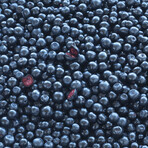 Nouveau set Nordic Blue Berry Plus, 2 x 120 comprimés + flacon avec tiroirs à médicaments gratuits