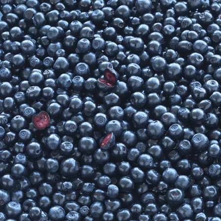 Nouveau set Nordic Blue Berry Plus, 2 x 120 comprimés + flacon avec tiroirs à médicaments gratuits