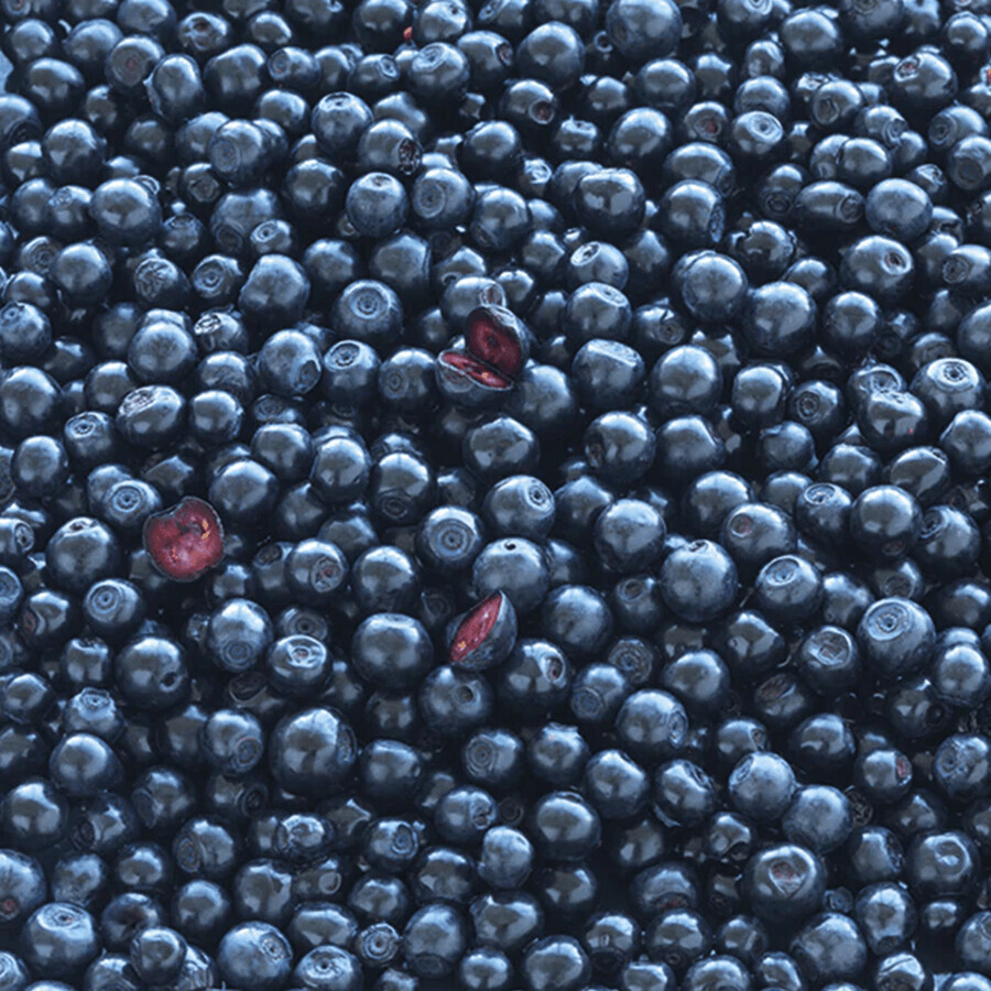 Nouveau set Nordic Blue Berry Plus, 2 x 120 comprimés + flacon avec tiroirs à médicaments gratuits