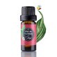 Aceite esencial, Verbena, 10 ml, Oleya