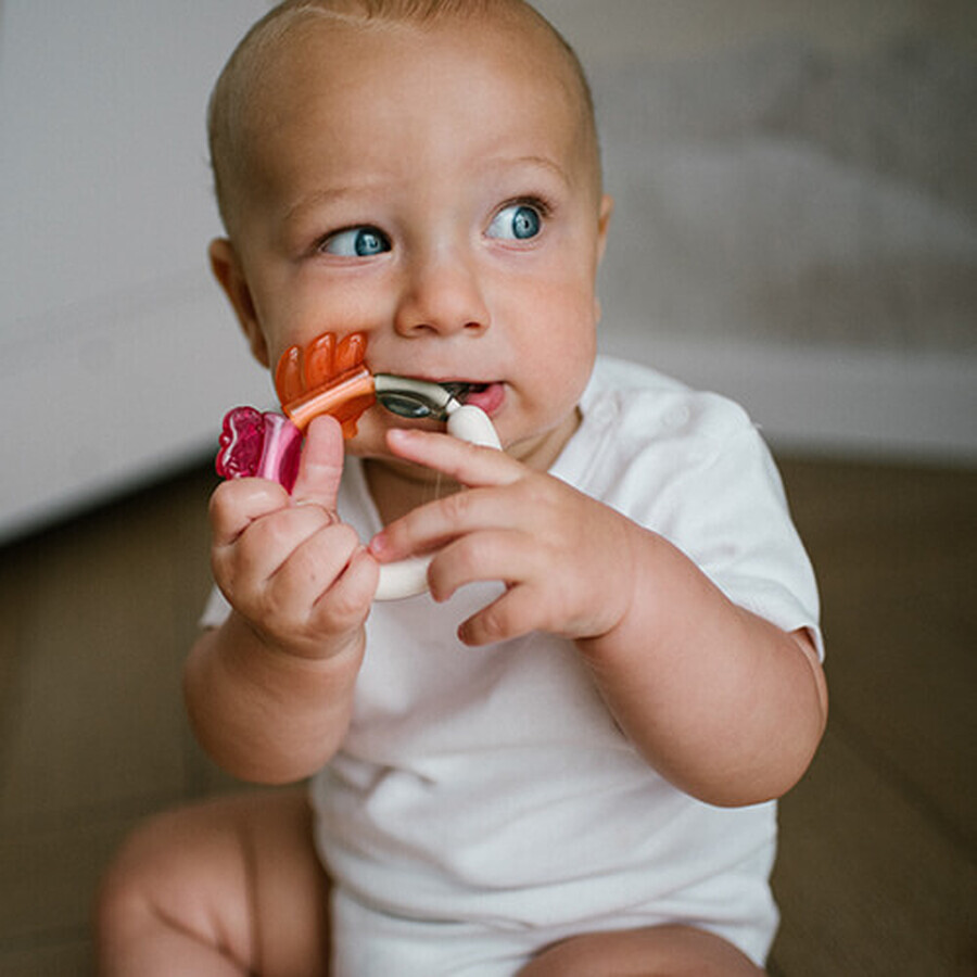 BabyOno, rattle with teether, from 3 months, 1 piece