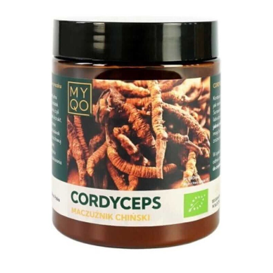 BIO Cordyceps 100g MYQO
