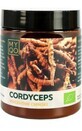 BIO Cordyceps 100g MYQO